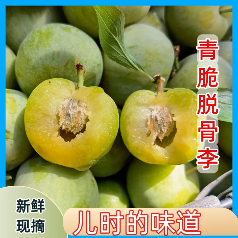 正宗农家脱骨李青脆李脆甜多汁新鲜水果李子包邮多仓发货s