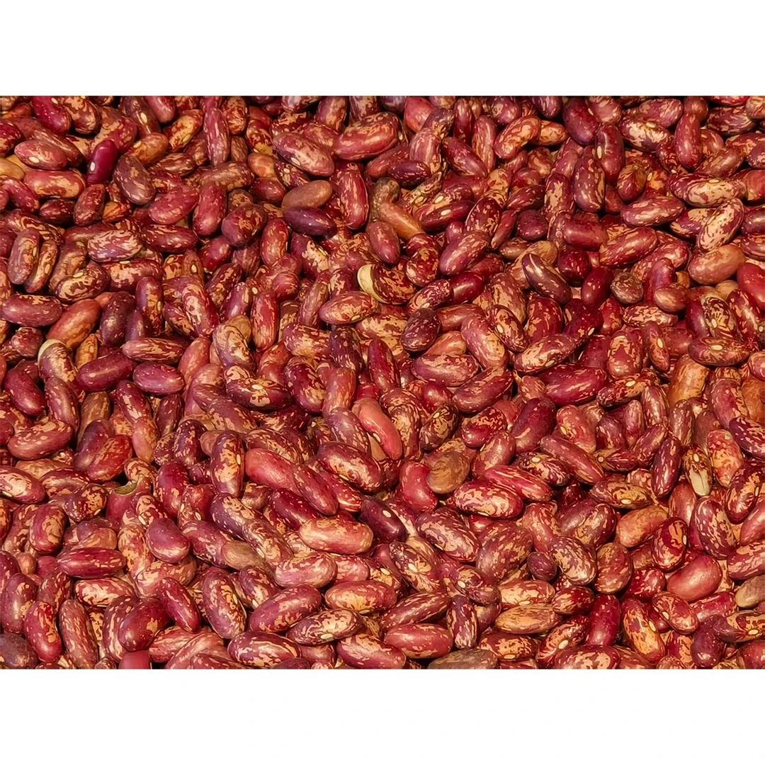 花芸豆约500g 1份/份