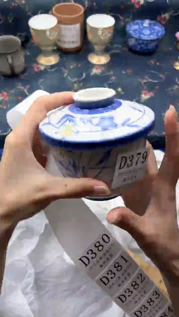 瓷片茉***子    D379