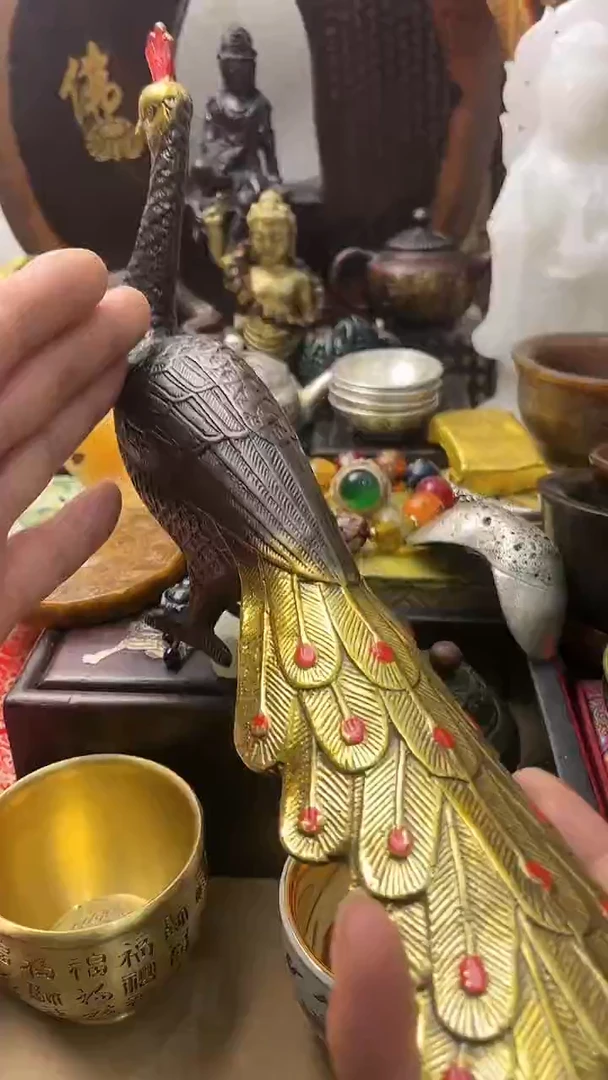 --------主播推荐------------