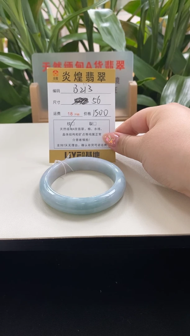 未镶嵌手镯翡翠56圈口编码b213