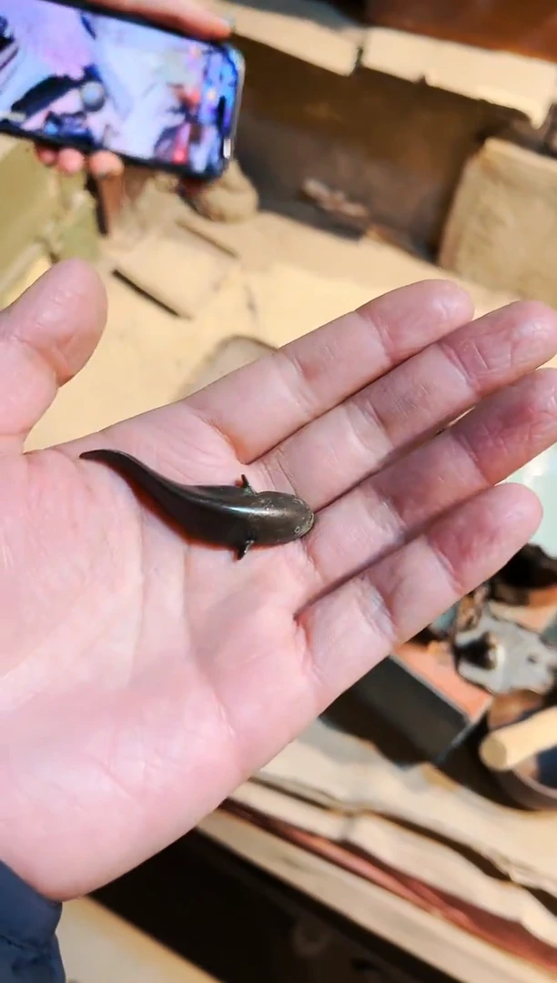 【闪购商品】七七精品优选链接16