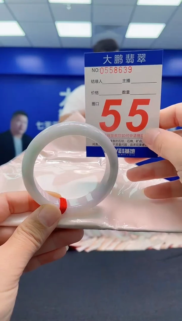 未镶嵌手镯翡翠AAAAAAAAA