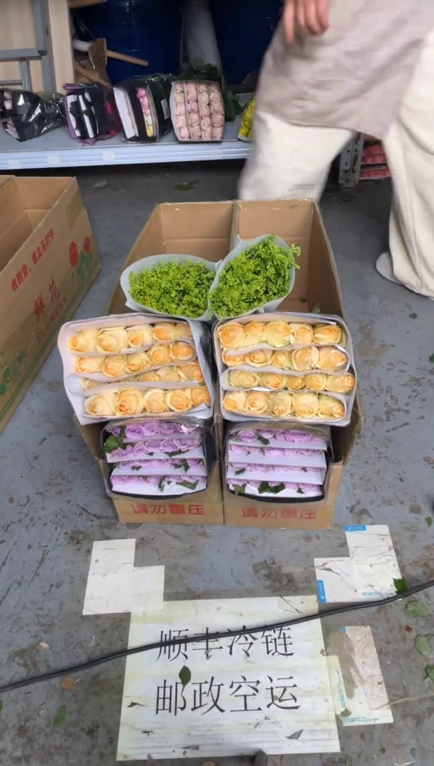 香槟20枝+海洋之歌20枝+黄莺