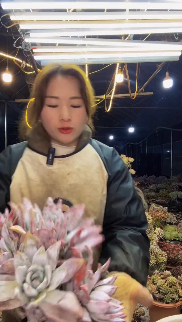 【闪购商品】54号一物一拍默认微瑕不售后