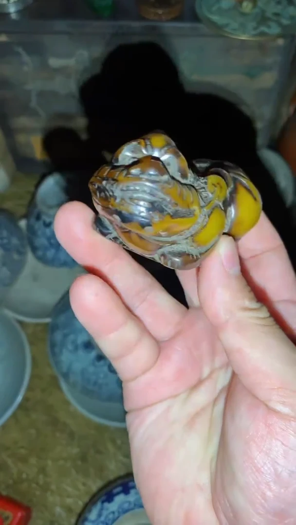 香榧木福利一一一优选