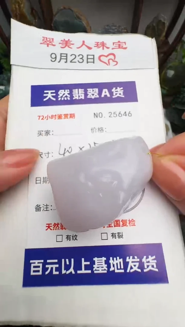 颈饰未镶嵌翡翠原石25646