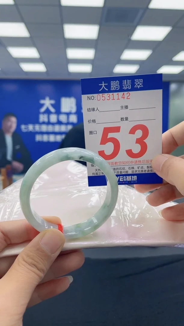 未镶嵌手镯翡翠AAAAAAAAAA