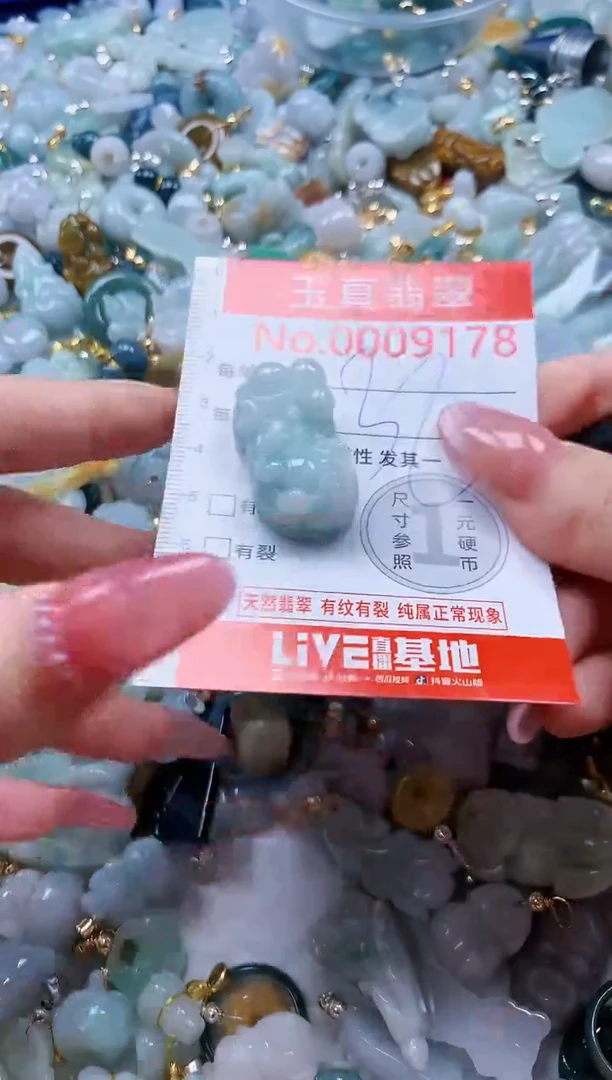 翡翠未镶嵌吊坠(不含链)9176