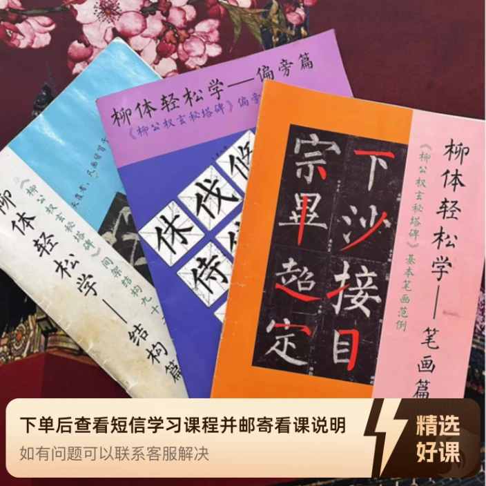柳体视频课-步骤和方法（留意短信解锁课程）