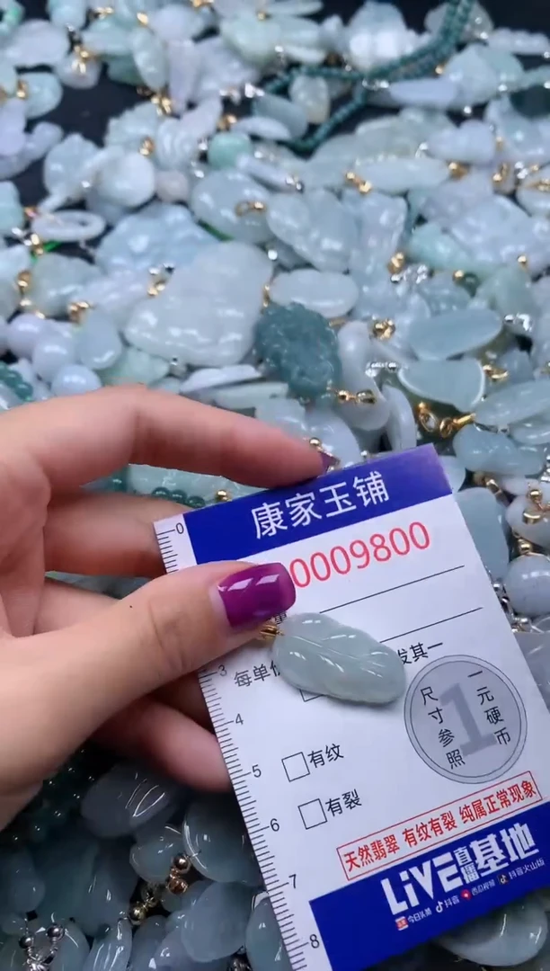 颈饰未镶嵌翡翠9800