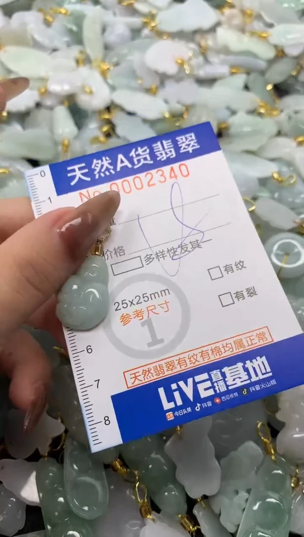 翡翠未镶嵌颈饰天然A货翡翠