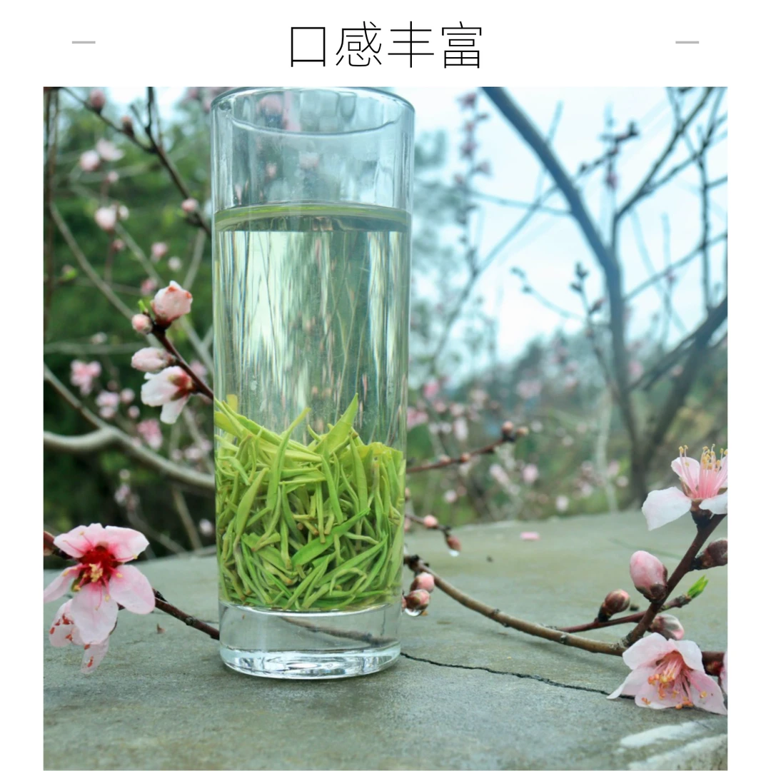 湘西黄金茶25年头春雀舌绿茶新茶云雾高香125茶叶克