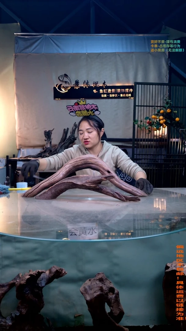 摆件景沐沉木B458景沐沉木B458