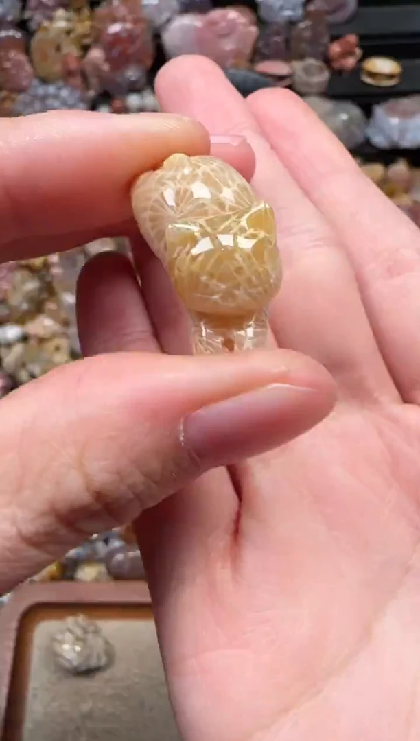 颈饰未镶嵌硅化珊瑚（珊瑚玉）409