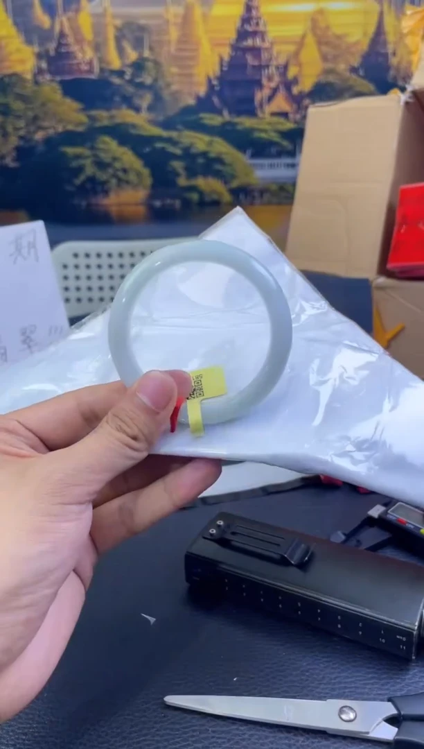 未镶嵌手镯翡翠13