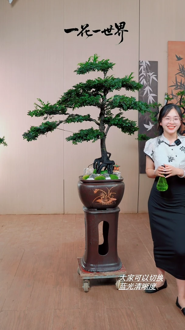 无花朵用****7【闪购链接】迎客造型链接
