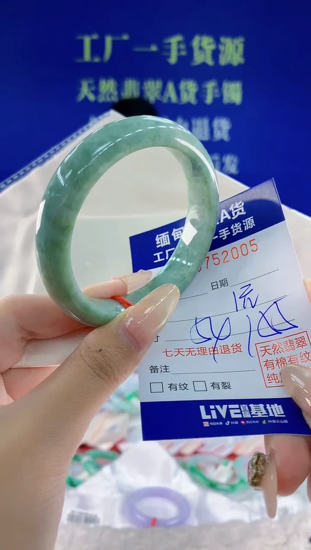 未镶嵌手镯翡翠05天然翡翠A货