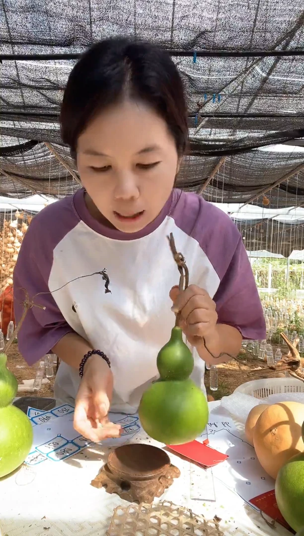 076天然葫芦摆件 一物一拍