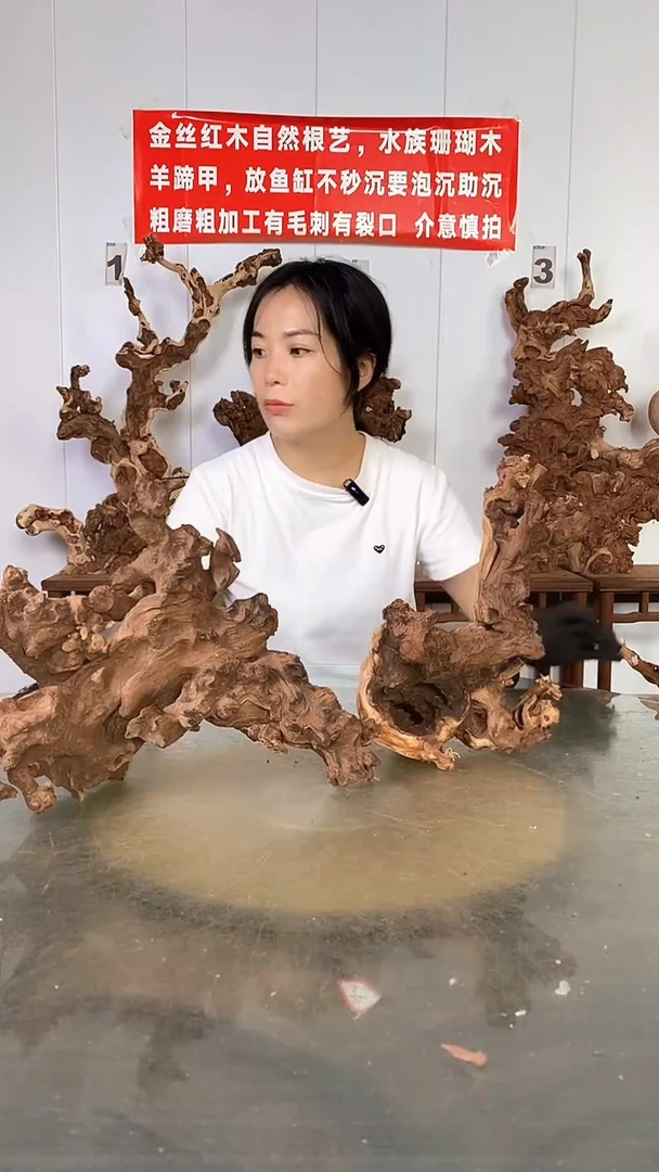 香榧木金丝红木  羊蹄甲