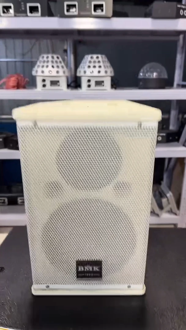 9新6.5寸单只音箱 80W  30米不包邮