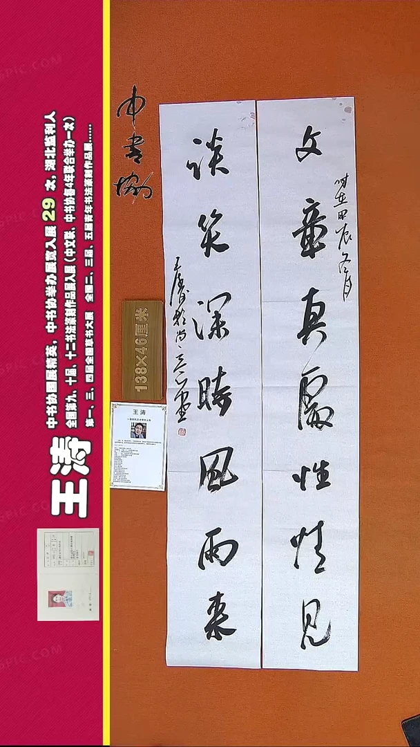 【闪购商品】书法178E王涛书法作品