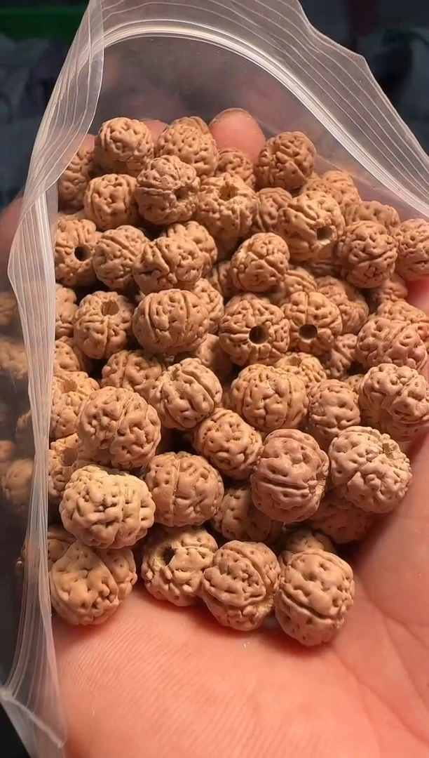 手串金刚菩提非全品老树王散籽9-10mm一份一百颗