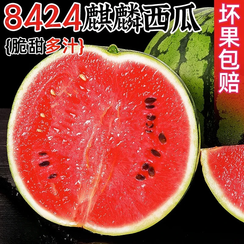 云南8424麒麟西瓜水果新鲜超甜大果应当季非无籽西瓜整箱