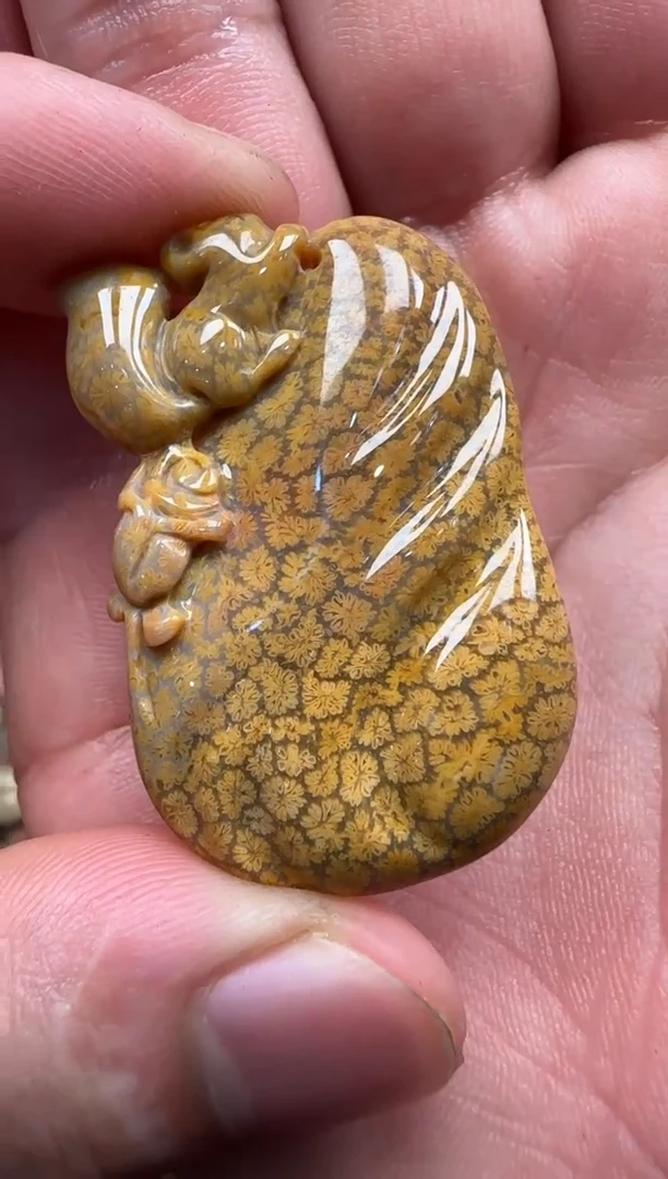 【闪购商品】硅化珊瑚（珊瑚玉）颈饰未镶嵌582