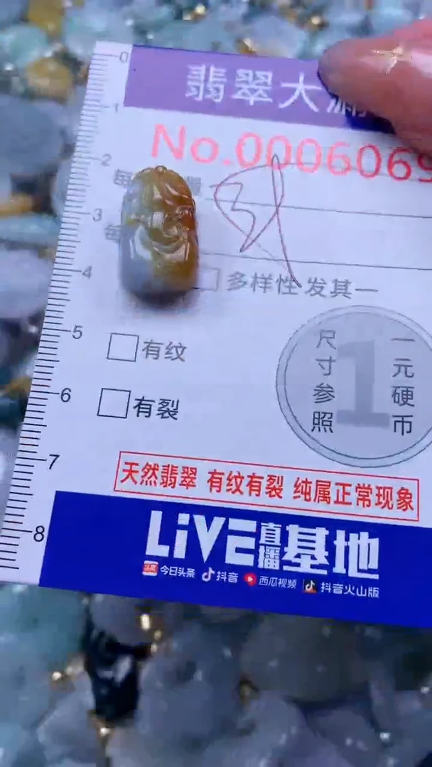 翡翠未镶嵌吊坠(不含链)6069