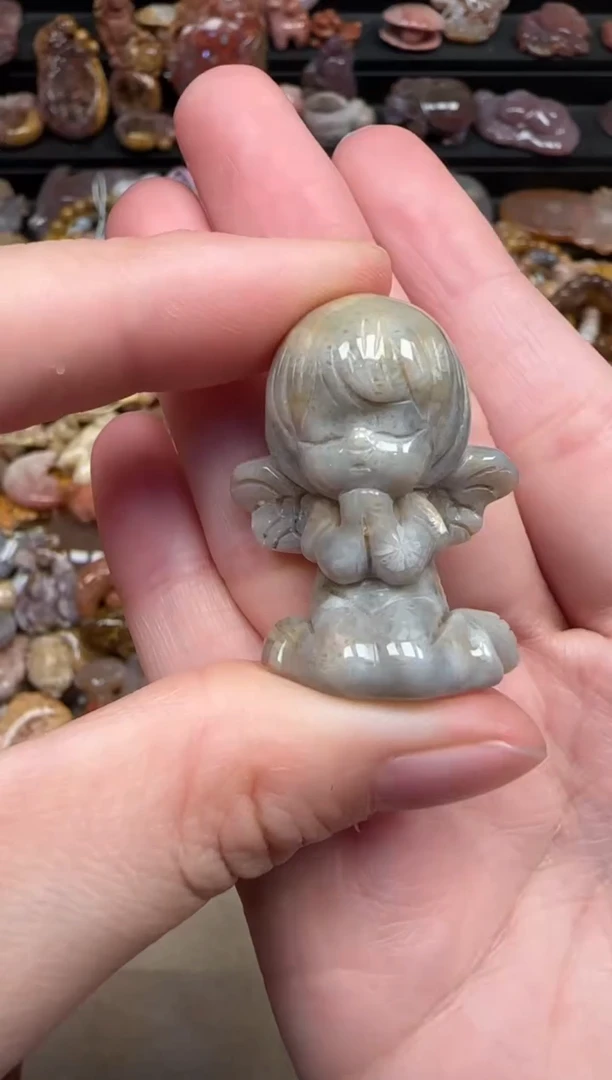 颈饰未镶嵌硅化珊瑚（珊瑚玉）484