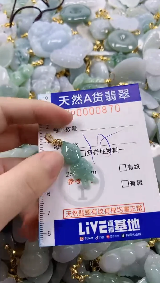 颈饰未镶嵌翡翠天然A货翡翠