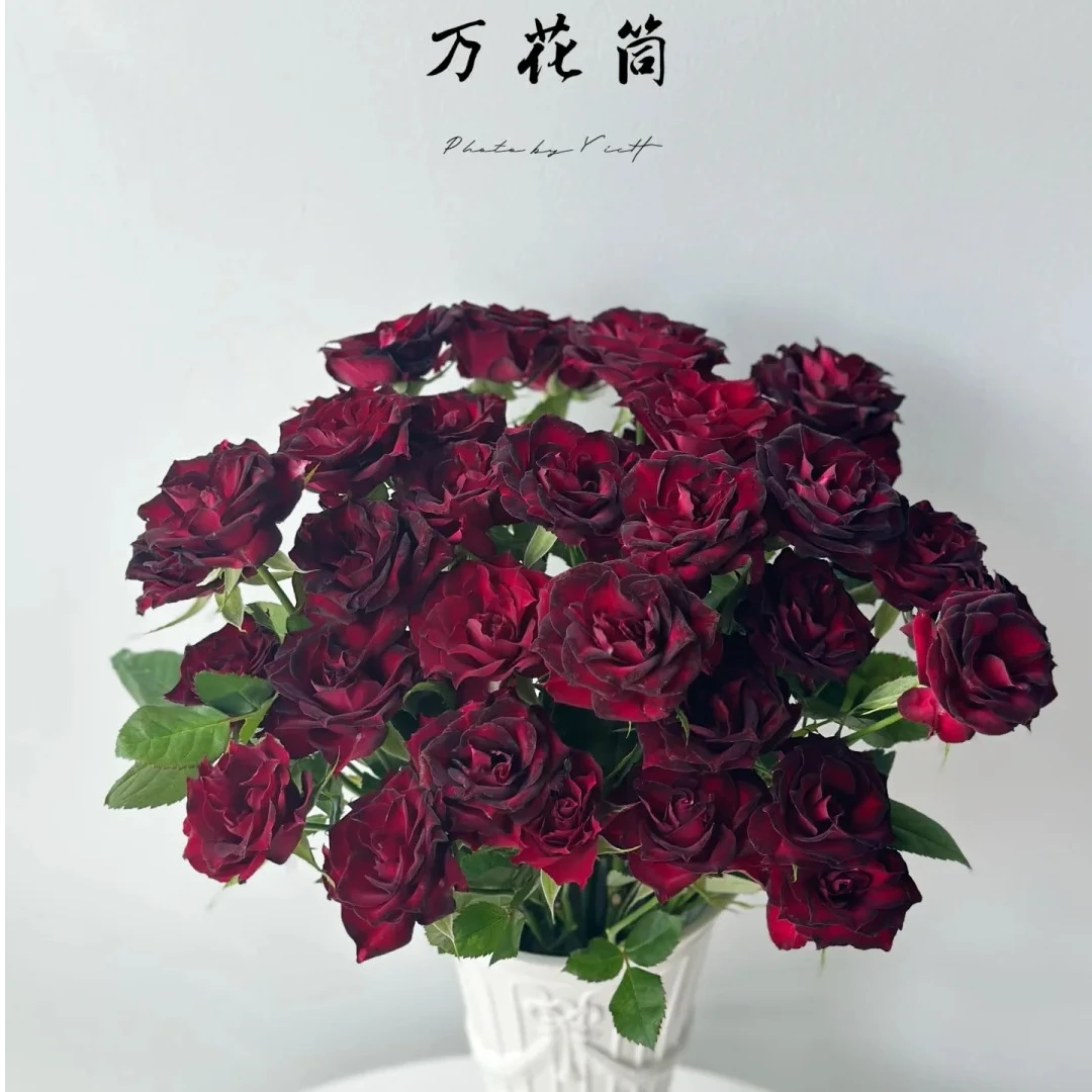 【万花筒 多头玫瑰 /全场任意满两单及以上鲜花包邮发货】