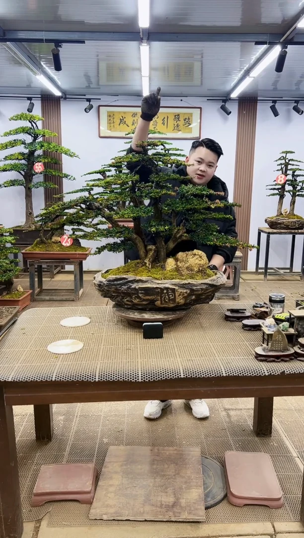 【闪购商品】00000000