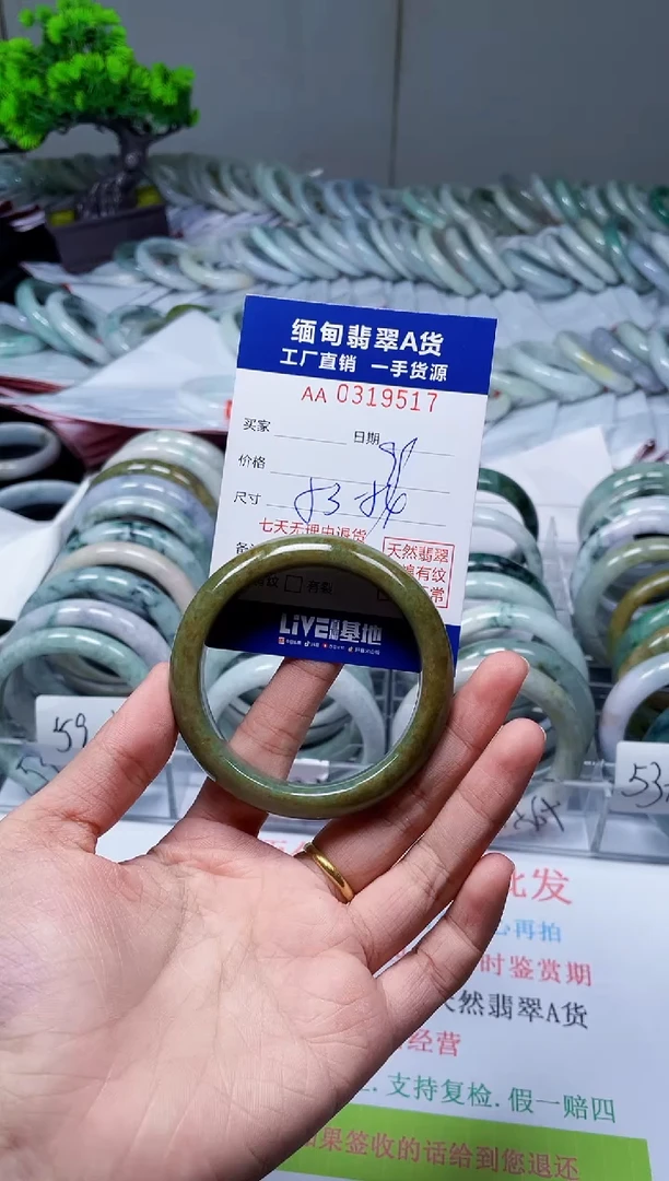 未镶嵌手镯翡翠贝***.天然翡翠A货9517