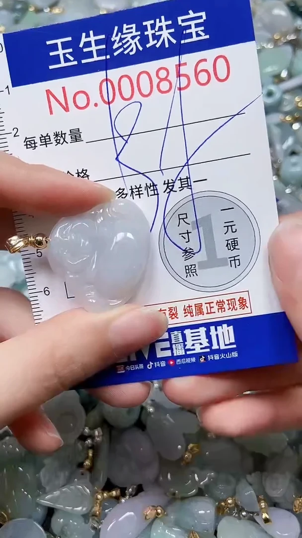 【闪购商品】翡翠颈饰未镶嵌闪购00008560