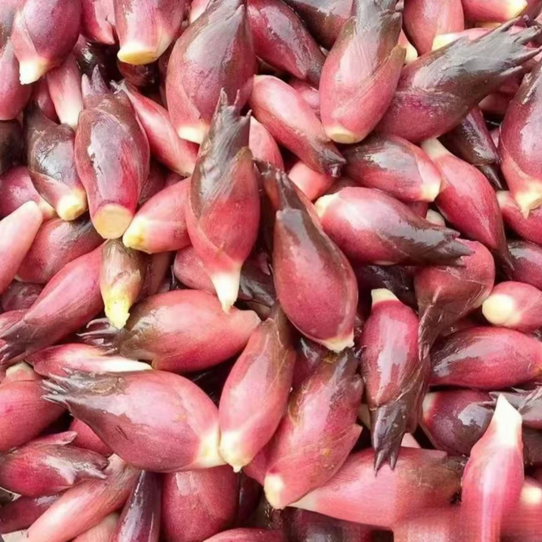 【洋荷牙种子】四季种植盆栽地栽