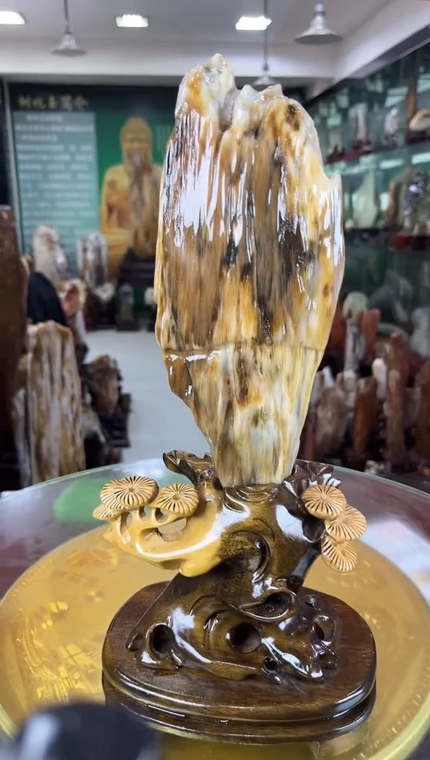 硅化玉珠宝奇石未镶嵌缅甸天然树化玉摆件