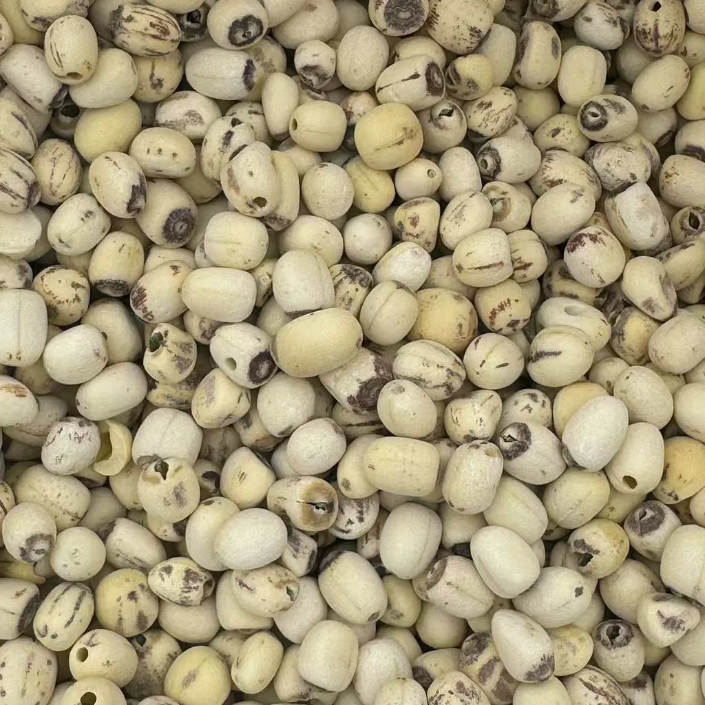 【郑书记助农】白莲子生莲子无硫野生莲子软糯香甜