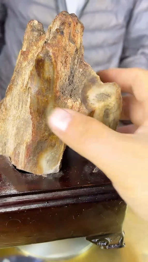 未镶嵌珠宝奇石硅化玉缅甸天然树化玉摆件