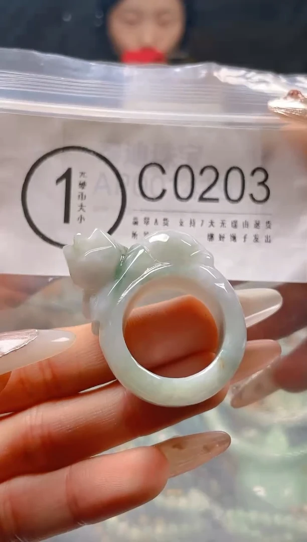 【闪购商品】翡翠颈饰未镶嵌20.7/C/翡翠A货一图一物