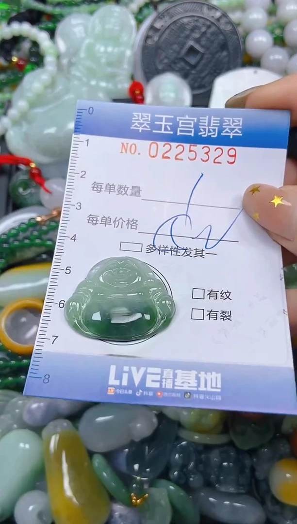 颈饰未镶嵌翡翠闪购C0225329