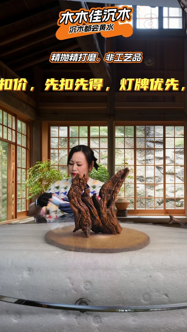 陈****》木木佳沉木鱼缸造景806