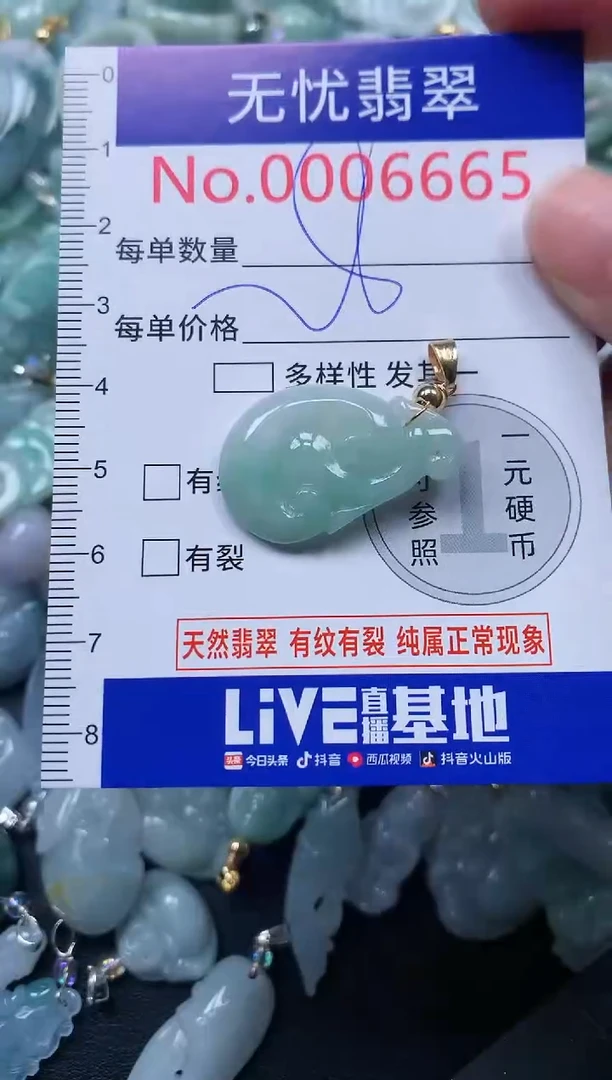 颈饰未镶嵌翡翠6665