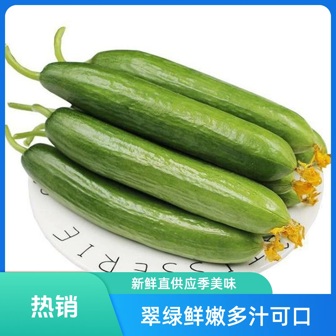 荠菜姐姐家脆甜小乳瓜2250g