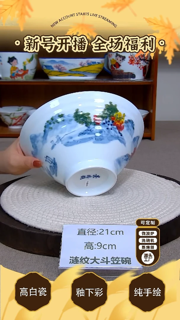 碗景德镇手绘釉下彩陶瓷