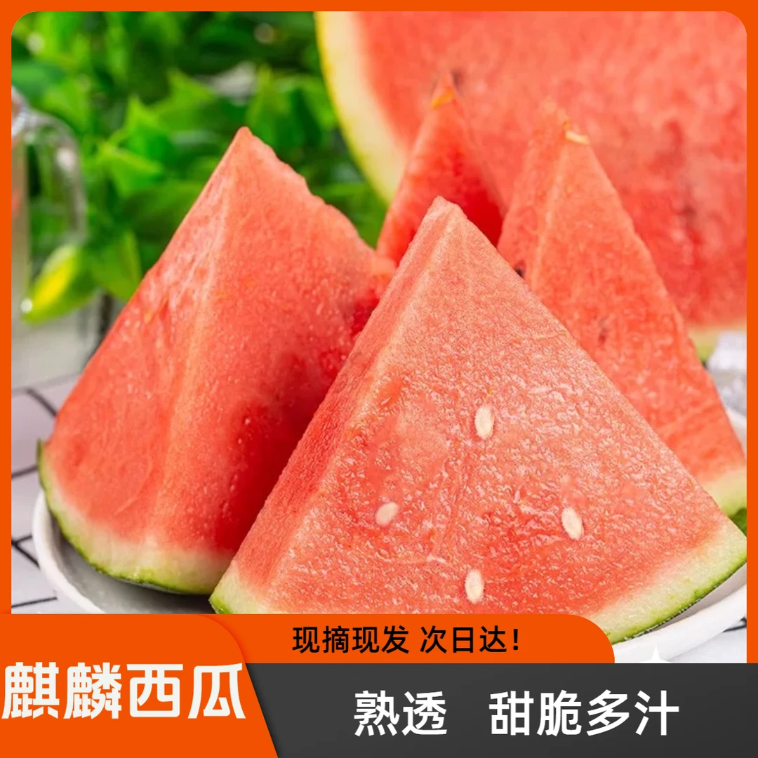 【明日达】爆甜麒麟西瓜薄皮多汁当应季新鲜水果甜王黑美人现摘整箱10斤西瓜云南云南省