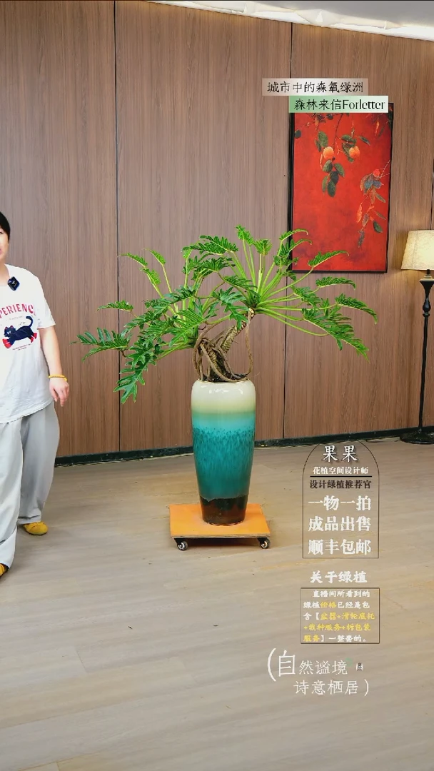 无花朵酷**家龙鳞春雨落地款一整套
