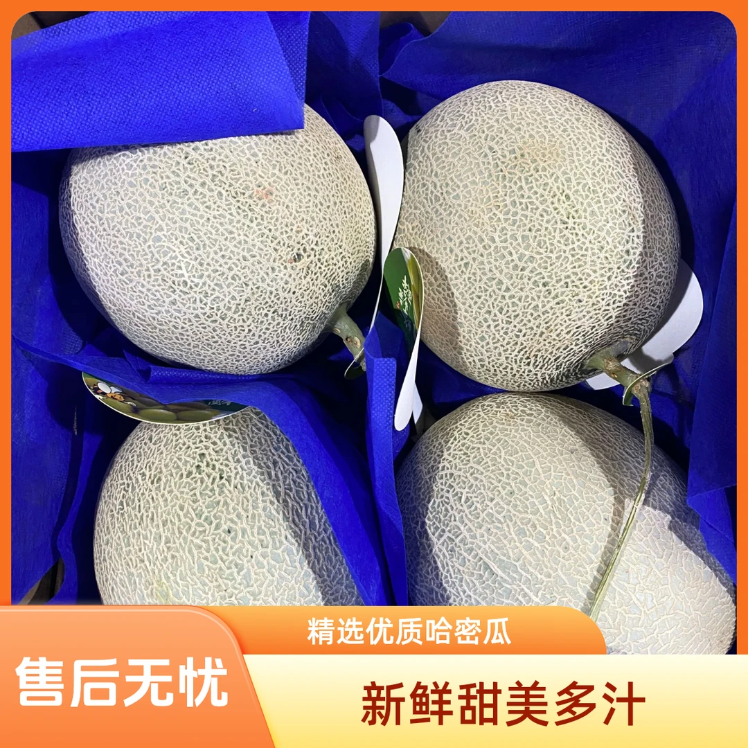 网纹蜜瓜礼盒一箱