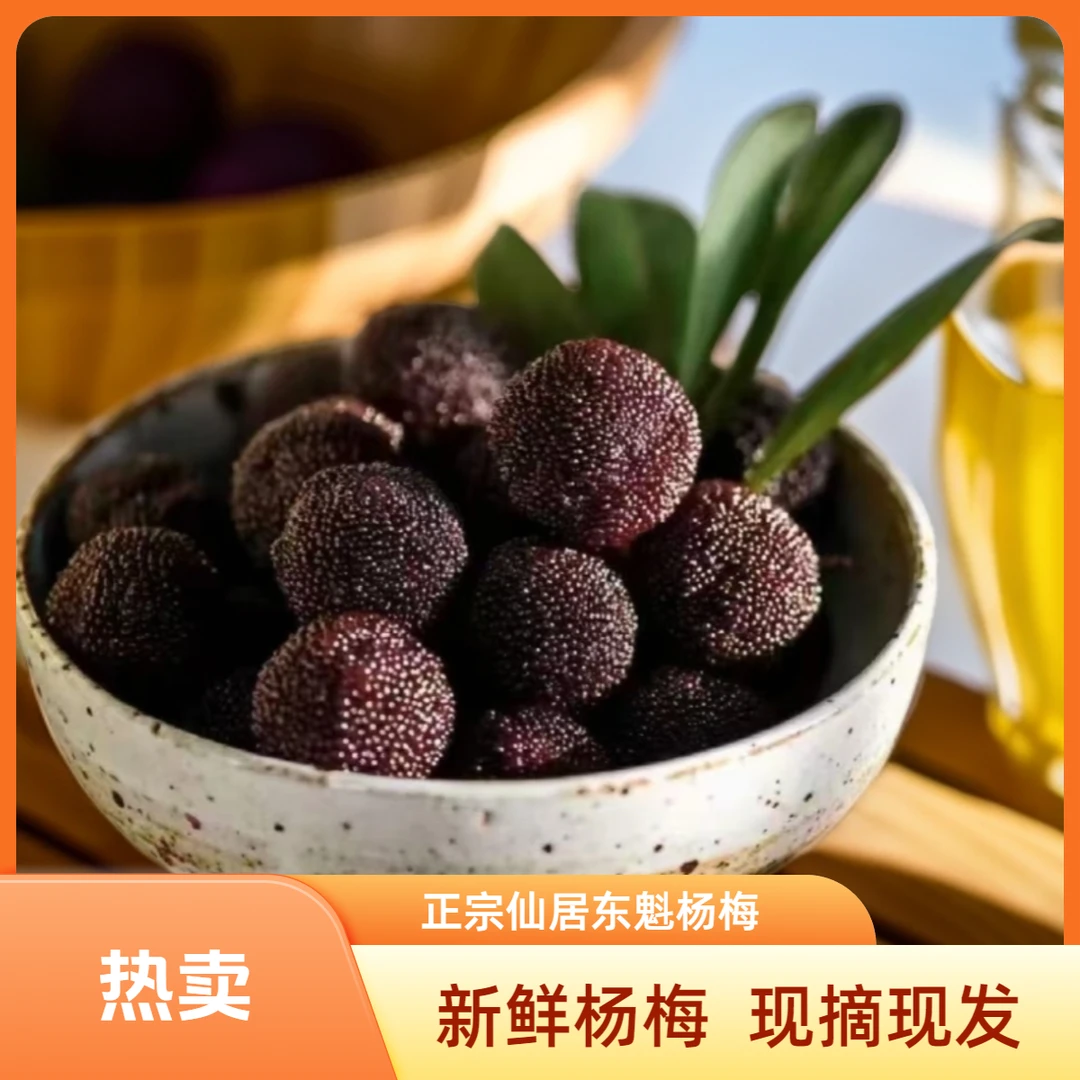 【10A仙居东魁杨梅】正宗东魁杨梅 送礼 顺丰 次日达 25-30g 颗粒包装新鲜杨梅浙江省